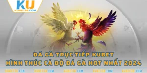 Đá Gà Trực Tiếp KUBET - Hình Thức Cá Độ Đá Gà HOT Nhất 2024