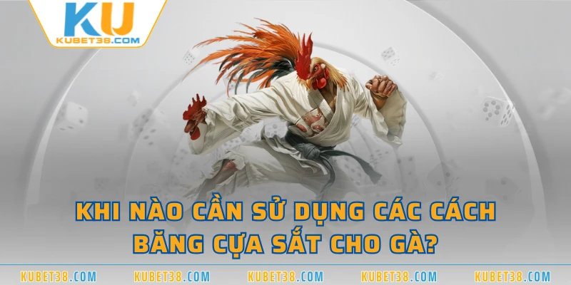 Khi nào cần sử dụng các cách băng cựa sắt cho gà?