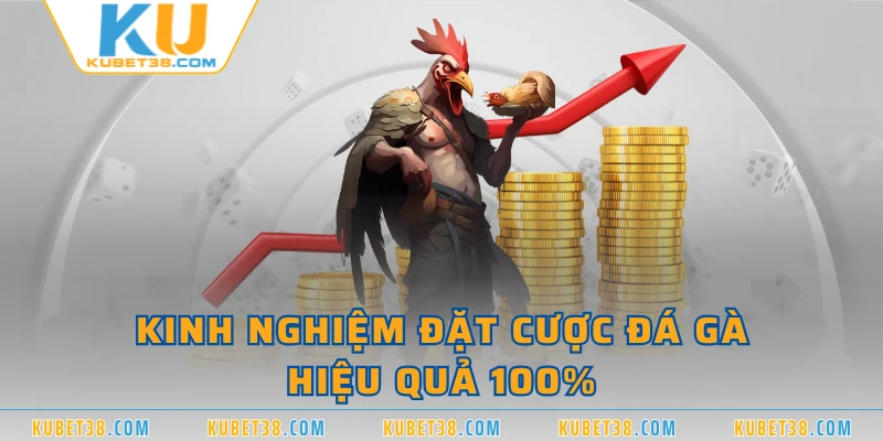 Kinh nghiệm đặt cược đá gà hiệu quả 100%