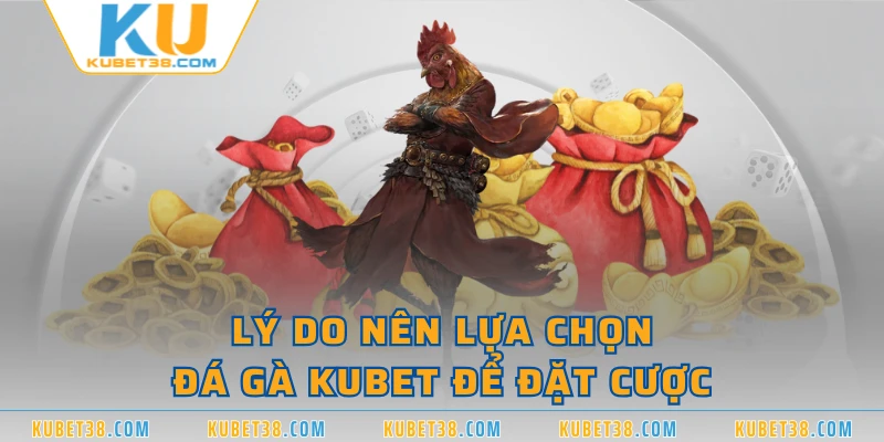 Lý do nên lựa chọn đá gà KUBET để đặt cược